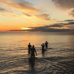 Screenshot 2019-10-21 at 11.49.03